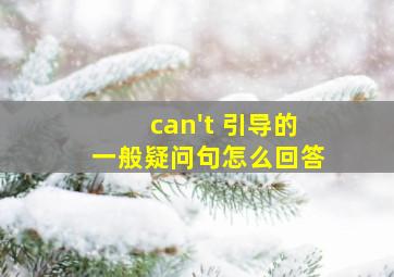 can't 引导的一般疑问句怎么回答